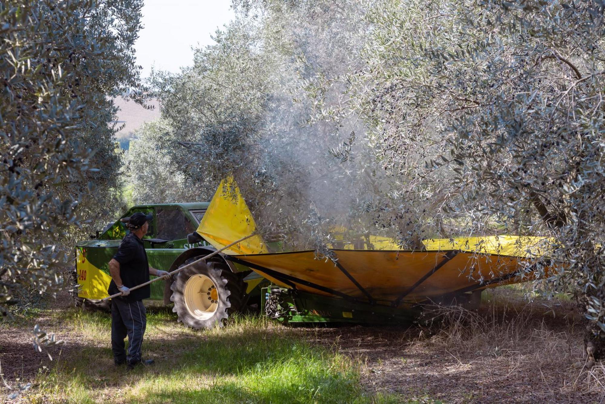 הוילה אנקונה A3Passi מראה חיצוני תמונה